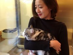 -猫大福·Fortune Cat猫舍(百子湾店)