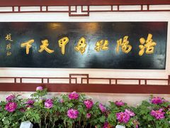 -神州牡丹园