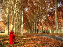 iphone_upload_pic-河南省黄河迎宾馆