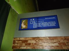 android_upload_pic-洛阳龙门海洋馆