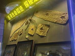 -诸城市恐龙博物馆