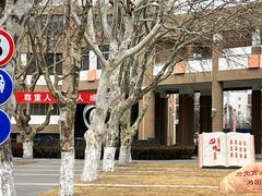 -山东省青岛第二中学(江西路分校)