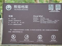 -都江堰中华大熊猫苑