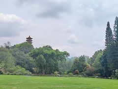 -深圳仙湖植物园
