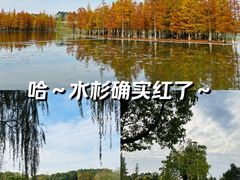 -白鹭湾湿地公园