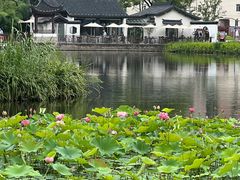-和平公园
