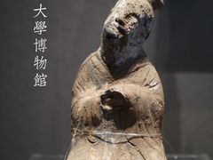 -四川大学博物馆