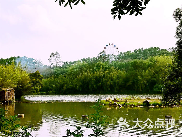 綠島旅遊山莊-圖片-饒平縣周邊遊-大眾點評網