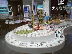 -大光明眼镜(锦华路旗舰店)
