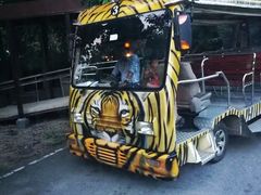 -清迈夜间动物园