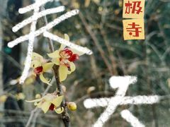 -北极寺公园