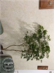 -北京炫美医疗美容