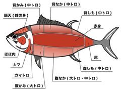 -海之幸味日式料理(宜宾莱茵店)