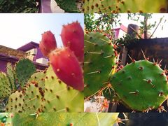 -百里峡七彩艺术小镇