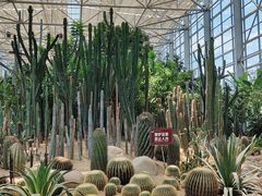 -祥源·阜阳生态乐园