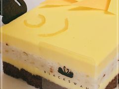 -BLACKSWAN黑天鹅(环球店)