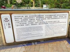 -碧水湾温泉