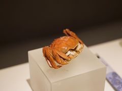 -汤城·料青山