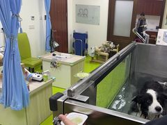 -美联众合动物医院·24h转诊中心
