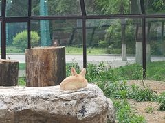 -沈阳森林动物园