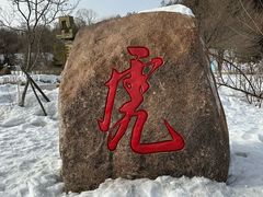 -横道河子东北虎林园