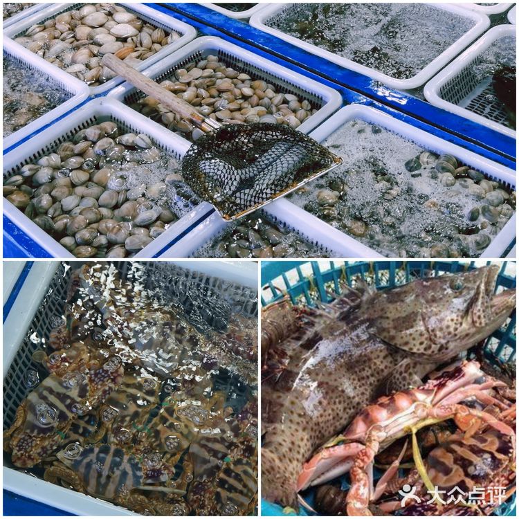 珠海旅游//珠海东澳岛//东澳岛旅游攻略