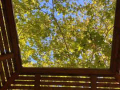 -春晖园度假酒店温泉