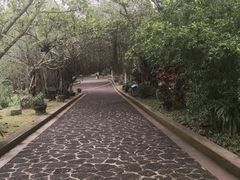 -海口火山口国家地质公园