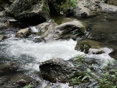 -三峡人家风景区