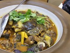 -洞庭家宴·头牌甲鱼(广渠门店)