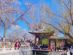 -桃花堤公园