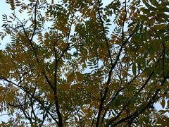 -白塘生态植物园