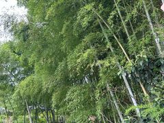 -金水泊山庄·花椒鸡(铁山坪店)