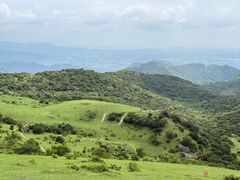 -大姆山草场