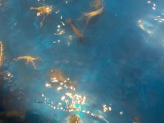 -钳真多钓虾馆·小龙虾海鲜烧烤(九六广场店)