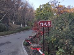 -南京市江宁方山