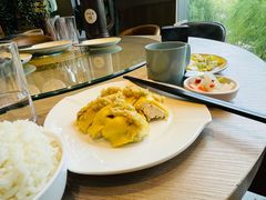星洲海南鸡饭套餐-日进一片海.生腌海鲜火锅.宵夜烧烤(三里屯总店)