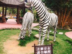 -揭东万竹园旅游景区