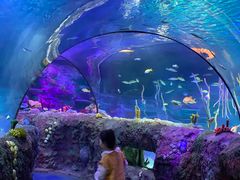 -沈阳海洋探索中心