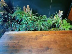 -梅间堂茶馆(绿地缤纷城店)