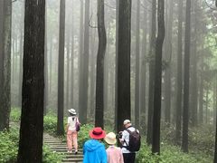 -罗田薄刀峰风景区