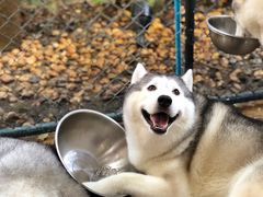 -TrueLove @ Neverland (Husky Cafe)