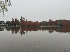 -白鹭湾湿地公园