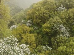 -终南山南五台景区