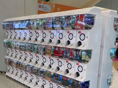 -银座mall(东直门店)