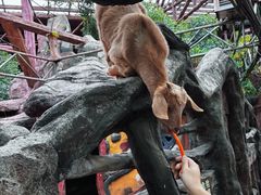 -长鹿旅游休博园