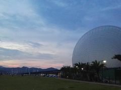 -野狸岛