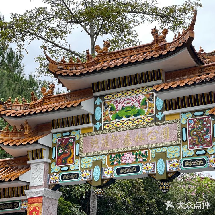 从化流溪河｜钓鱼