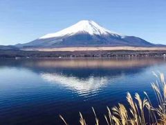 -富士山吉田線五合目
