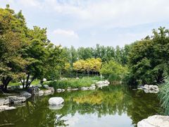 -大望京公园